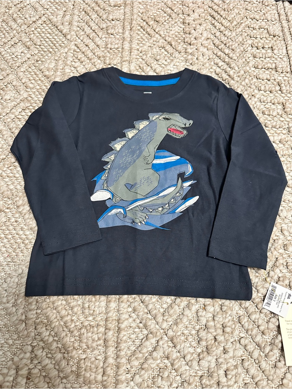 Tea Collection tsunami monster graphic tee -2T